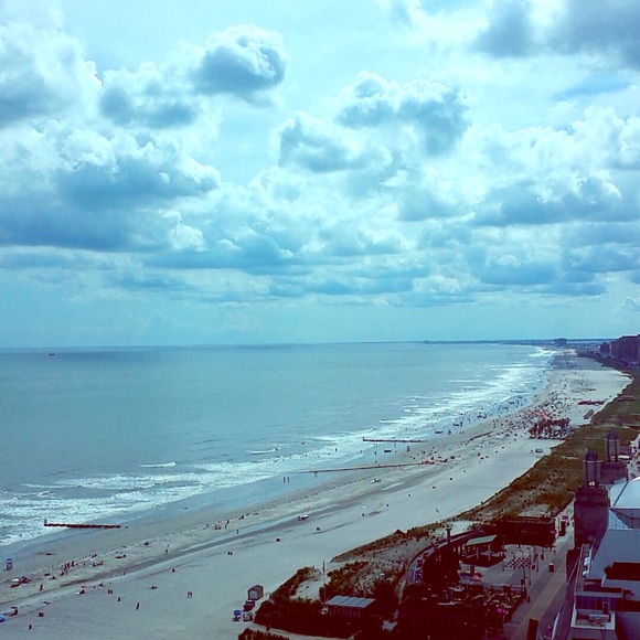 Meet your Posher, Rain - Picture 1 of 1